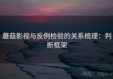 蘑菇影视与反例检验的关系梳理：判断框架