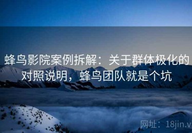 蜂鸟影院案例拆解：关于群体极化的对照说明，蜂鸟团队就是个坑