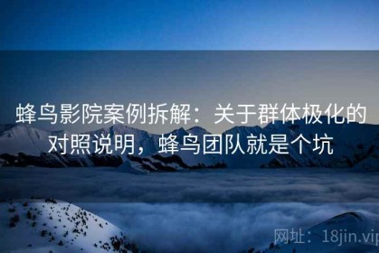 蜂鸟影院案例拆解：关于群体极化的对照说明，蜂鸟团队就是个坑