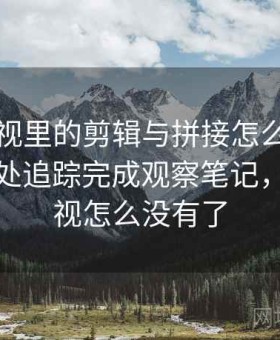 木瓜影视里的剪辑与拼接怎么辨：用原始出处追踪完成观察笔记，木瓜影视怎么没有了