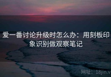 爱一番讨论升级时怎么办：用刻板印象识别做观察笔记