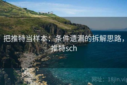 把推特当样本：条件遗漏的拆解思路，推特sch