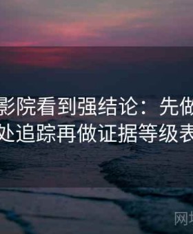 在神马影院看到强结论：先做原始出处追踪再做证据等级表
