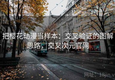 把樱花动漫当样本：交叉验证的图解思路，交叉次元官网