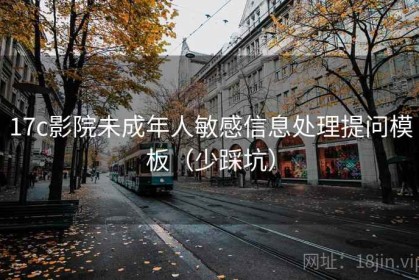 17c影院未成年人敏感信息处理提问模板（少踩坑）
