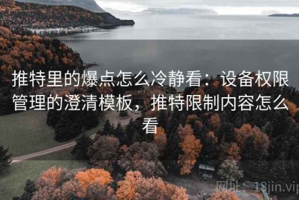 推特里的爆点怎么冷静看：设备权限管理的澄清模板，推特限制内容怎么看