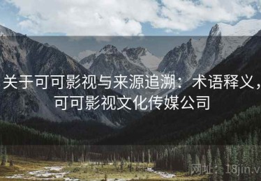 关于可可影视与来源追溯：术语释义，可可影视文化传媒公司