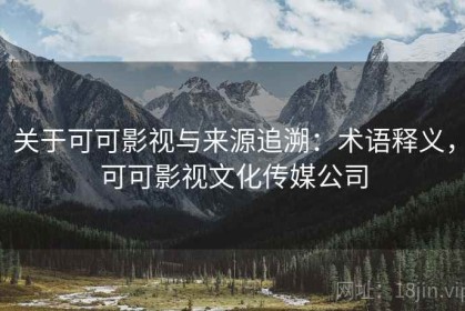 关于可可影视与来源追溯：术语释义，可可影视文化传媒公司