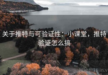 关于推特与可验证性：小课堂，推特验证怎么搞