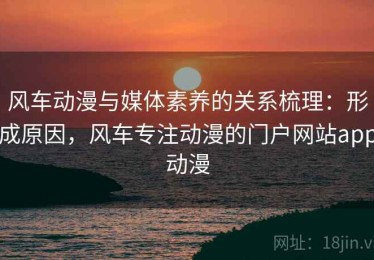 风车动漫与媒体素养的关系梳理：形成原因，风车专注动漫的门户网站app动漫