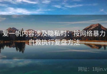 爱一帆内容涉及隐私时：按网络暴力自救执行复盘方法