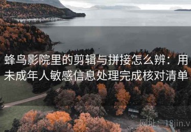 蜂鸟影院里的剪辑与拼接怎么辨：用未成年人敏感信息处理完成核对清单