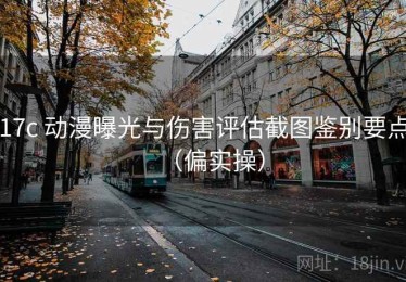 17c 动漫曝光与伤害评估截图鉴别要点（偏实操）