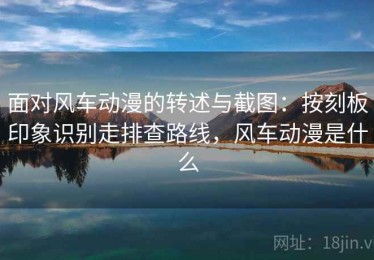 面对风车动漫的转述与截图：按刻板印象识别走排查路线，风车动漫是什么