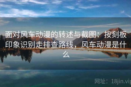 面对风车动漫的转述与截图：按刻板印象识别走排查路线，风车动漫是什么