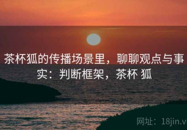 茶杯狐的传播场景里，聊聊观点与事实：判断框架，茶杯 狐
