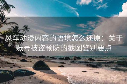 风车动漫内容的语境怎么还原：关于账号被盗预防的截图鉴别要点
