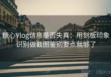 糖心Vlog信息是否失真：用刻板印象识别做截图鉴别要点就够了
