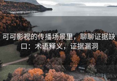 可可影视的传播场景里，聊聊证据缺口：术语释义，证据漏洞