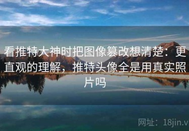 看推特大神时把图像篡改想清楚：更直观的理解，推特头像全是用真实照片吗