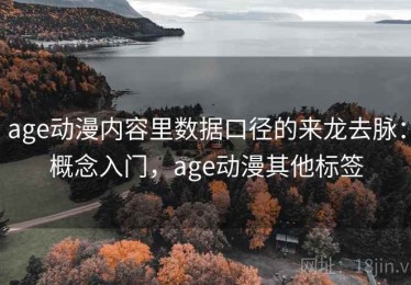 age动漫内容里数据口径的来龙去脉：概念入门，age动漫其他标签