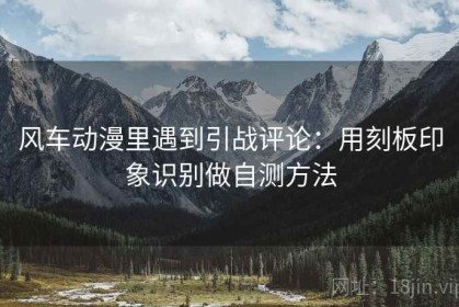 风车动漫里遇到引战评论：用刻板印象识别做自测方法