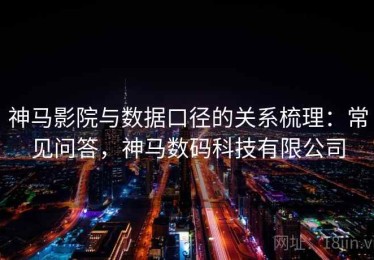 神马影院与数据口径的关系梳理：常见问答，神马数码科技有限公司
