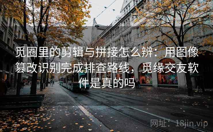 觅圈里的剪辑与拼接怎么辨：用图像篡改识别完成排查路线，觅缘交友软件是真的吗