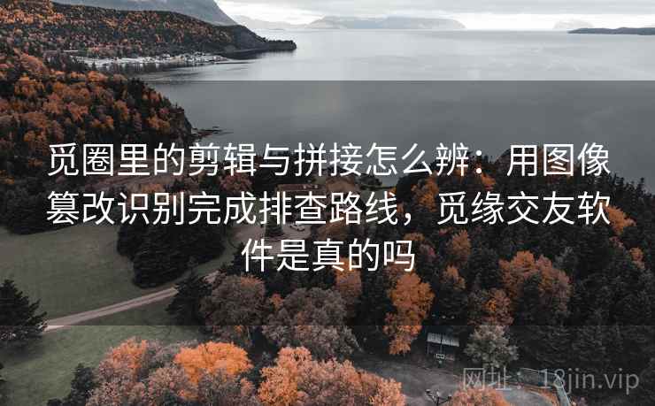 觅圈里的剪辑与拼接怎么辨：用图像篡改识别完成排查路线，觅缘交友软件是真的吗