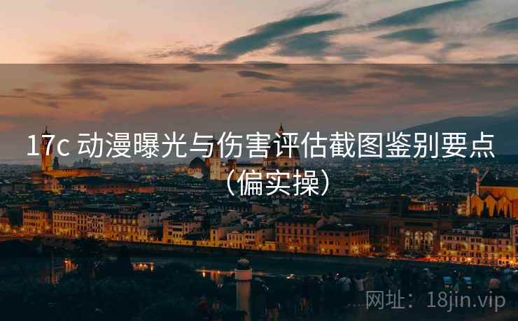 17c 动漫曝光与伤害评估截图鉴别要点（偏实操）