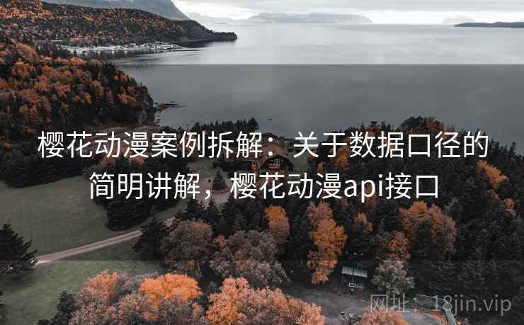 樱花动漫案例拆解:关于数据口径的简明讲解,樱花动漫api接口 樱花动漫案例拆解:关于数据口径的简明讲解,樱花动漫api接口